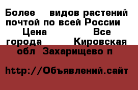 Более200 видов растений почтой по всей России › Цена ­ 100-500 - Все города  »    . Кировская обл.,Захарищево п.